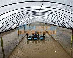 淄博水產養殖膜 選擇可靠農用薄膜批發商的重要性
