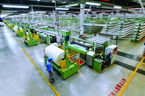 奮力打造世界一流的尼龍全產業(yè)鏈價值創(chuàng)造者 神馬股份高質量發(fā)展紀實