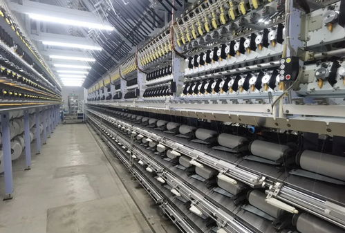 汕頭,攢了個 大招